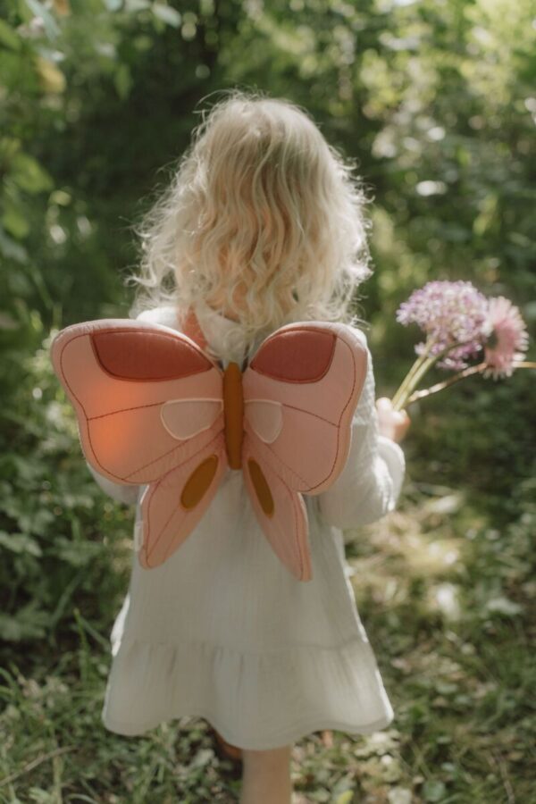 Feenflügel mit Zauberstab