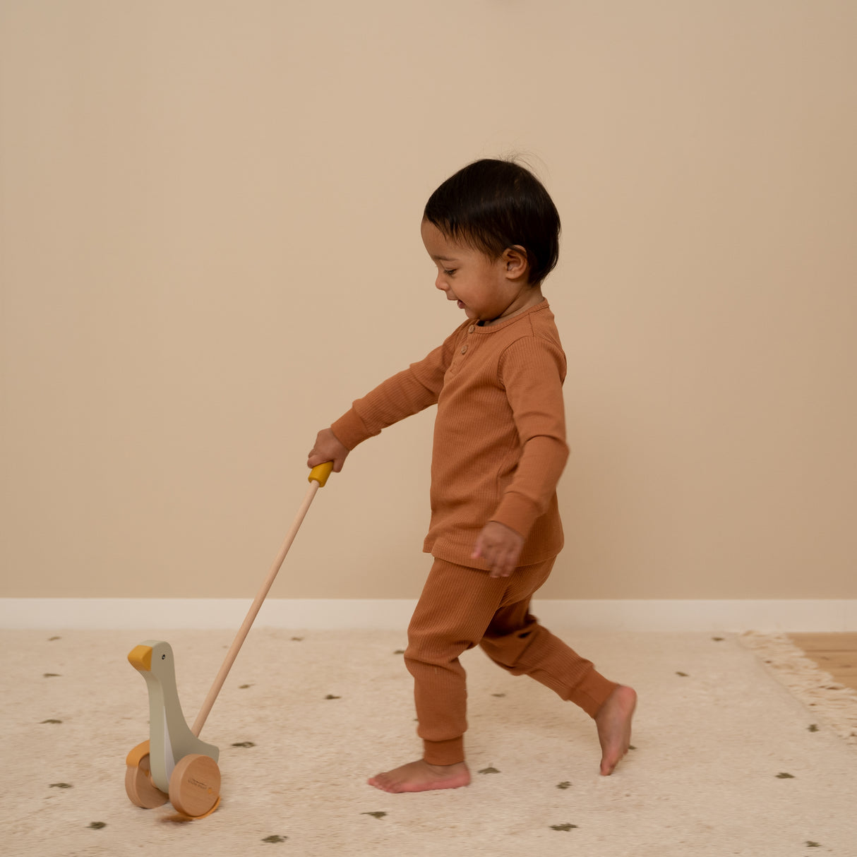 Schiebetier Little Goose FSC